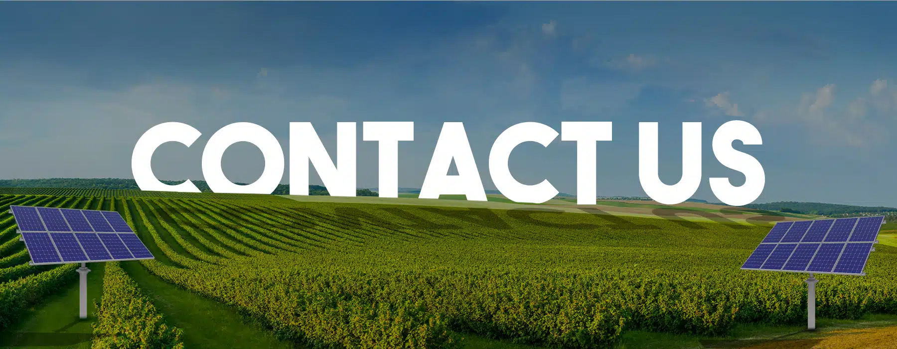 Contact us