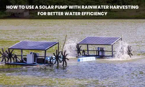 Solar pump with rainwater harvesting