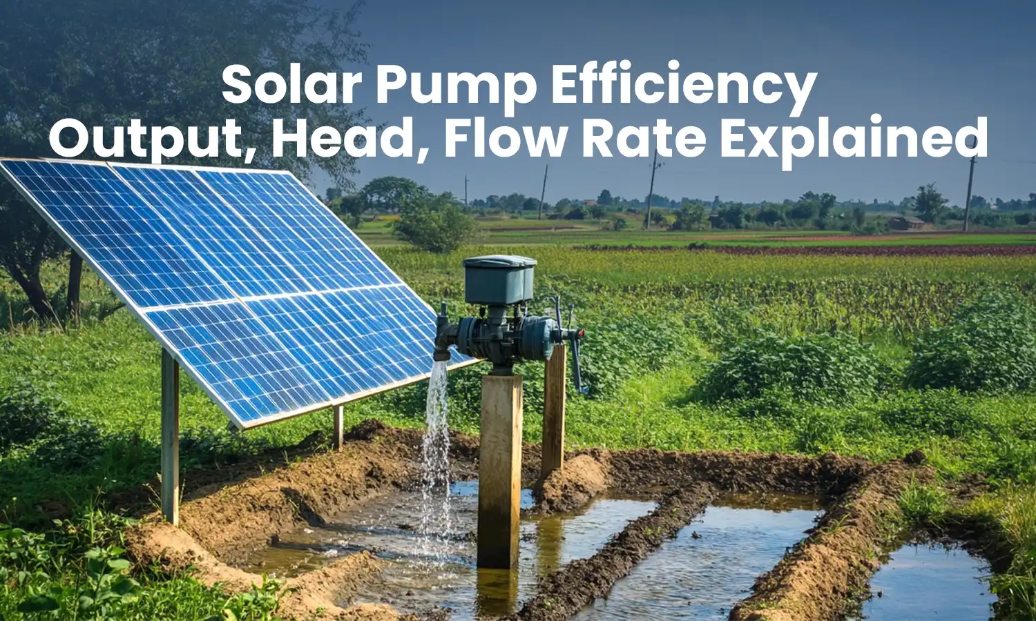 Solar Pump Efficiency: Output, Head, Flow Rate Explained
