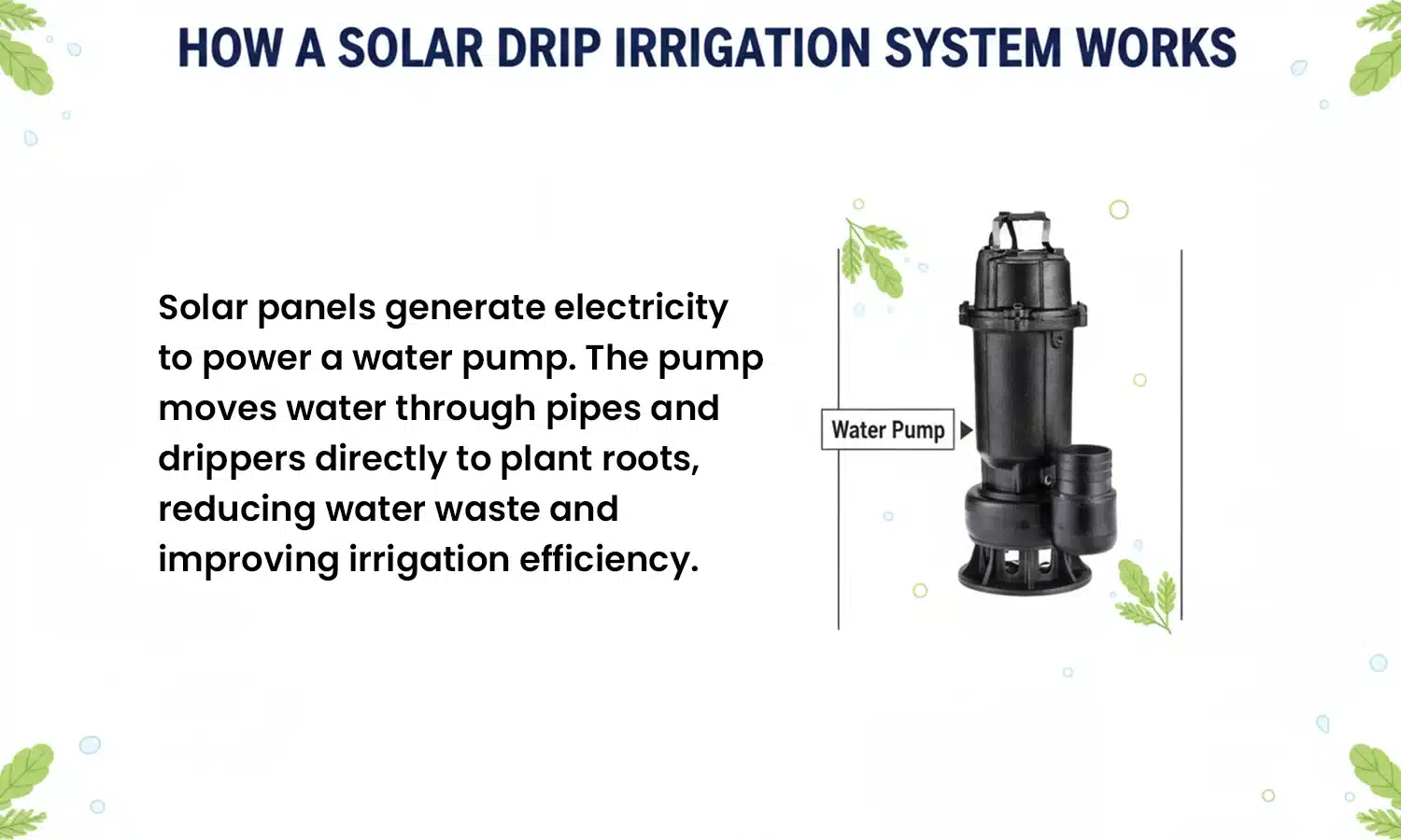 Solar Drip Irrigation