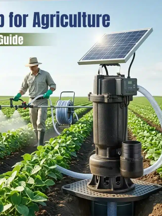 Solar Spray Pump for Agriculture | Buying Guide